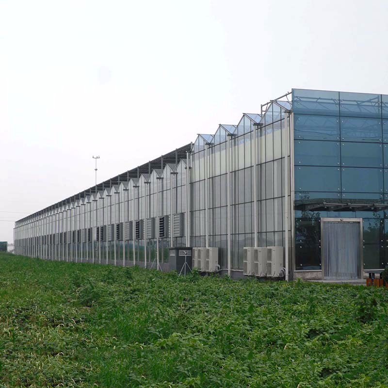 玻璃智能温室厂家 厂家直销 品质保证 山东玻璃智能温室