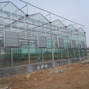 玻璃智能温室厂家 厂家直销 品质保证 山东玻璃智能温室