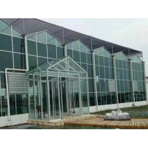 山东玻璃温室设计