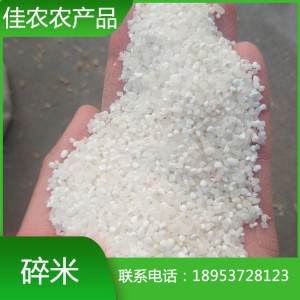 优质碎米厂家直销 大碎米小碎米 抛光碎米 粥米 量大从优