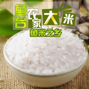 山东米厂大量销售大米 鱼台特色大米 绿色圆粒大米