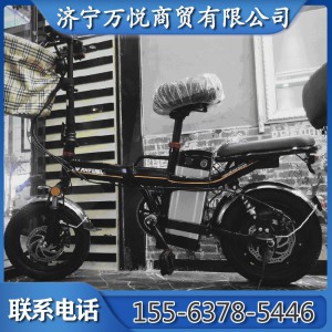 折叠电动自行车 锂电池电瓶车新国标代步车 代驾折叠小型车