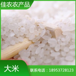 山东大米生产加工厂家 鱼台特色大米 圆粒大米珍珠米批发