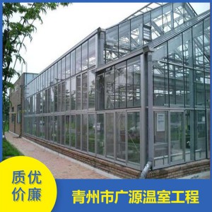 山东803型连栋薄膜温室建造 潍坊大型连栋薄膜温室