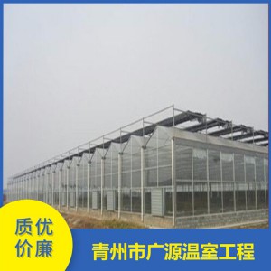 山东803型连栋薄膜温室建造 潍坊大型连栋薄膜温室