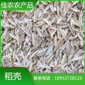 山东稻壳米厂现货直供优质稻壳 圆粒稻壳 除尘稻壳