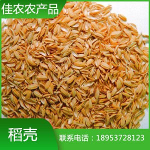 山东稻壳米厂现货直供优质稻壳 圆粒稻壳 除尘稻壳
