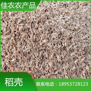 鱼台稻壳批发 纯天然优质稻壳 养殖垫料用稻壳厂家供应