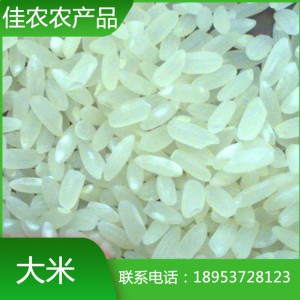 山东大米厂家现货批发鱼台圆粒大米 珍珠米 优质大米价格