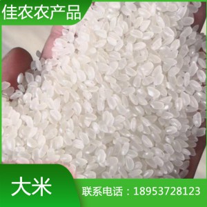 山东米厂现货直销大米 珍珠米 圆粒大米 鱼台特产