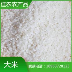 优质大米生产厂家 山东特产鱼台大米 珍珠米批发价格
