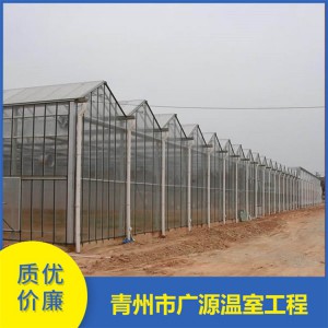 大型单体拱棚温室工程 青州广源定制农业生态园温室