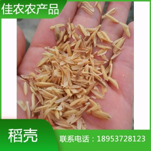 鱼台稻壳批发 纯天然优质稻壳 养殖垫料用稻壳厂家供应