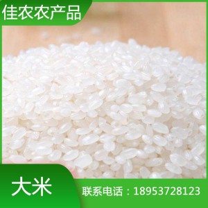 山东米厂现货直销大米 珍珠米 圆粒大米 鱼台特产