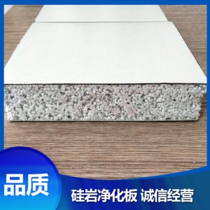 现货供应硅岩净化板 硅岩板机制硅岩保温板材 硅岩保温净化板加工各种型号