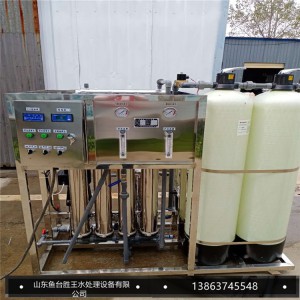 反渗透纯水设备 化工行业工艺用水设备 饮料 酿酒用水设备 厂家直销