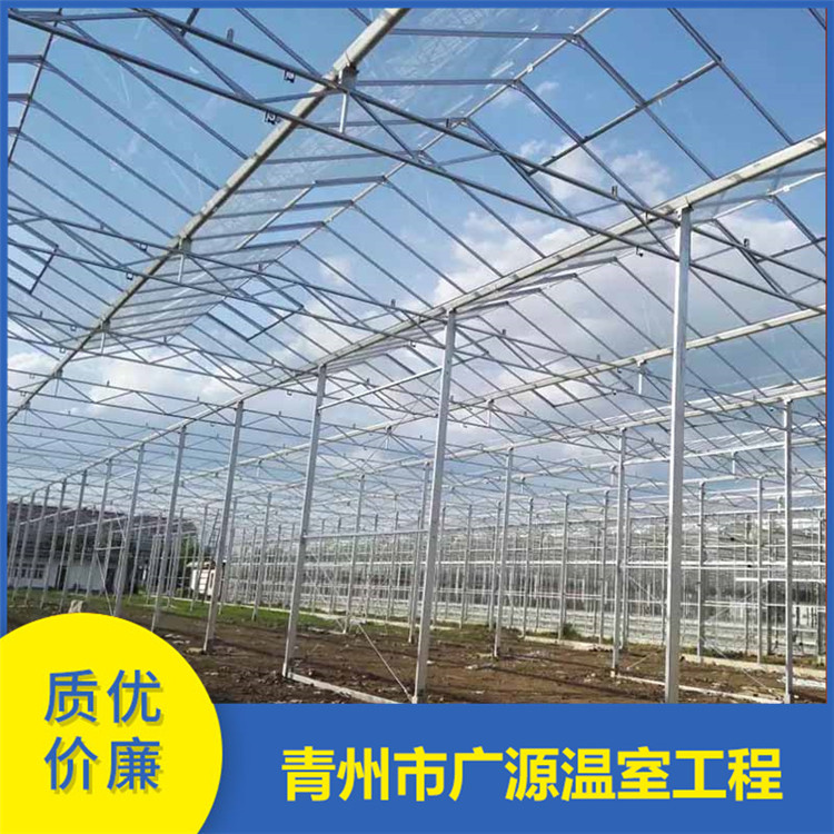 湖南连栋玻璃温室定制加工 双层充气薄膜温室制造厂家