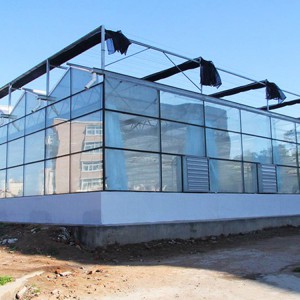 玻璃连栋温室厂家 玻璃连栋温室价格
