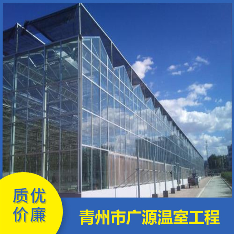 加工玻璃温室大棚 玻璃温室大棚 欢迎咨询