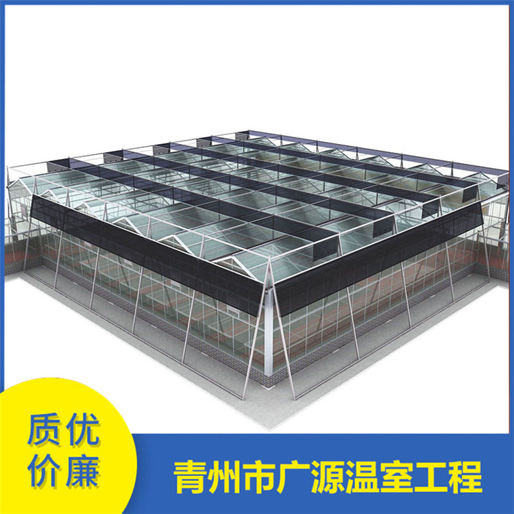 蔬菜种植玻璃温室 连栋玻璃温室大棚厂家 承建厂家