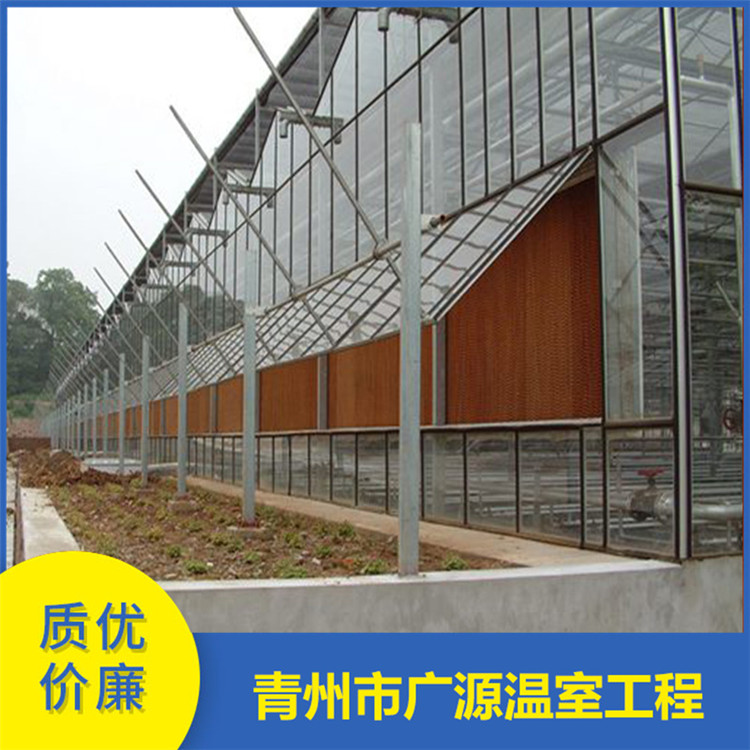 加工玻璃温室大棚 玻璃智能温室价格 承建厂家