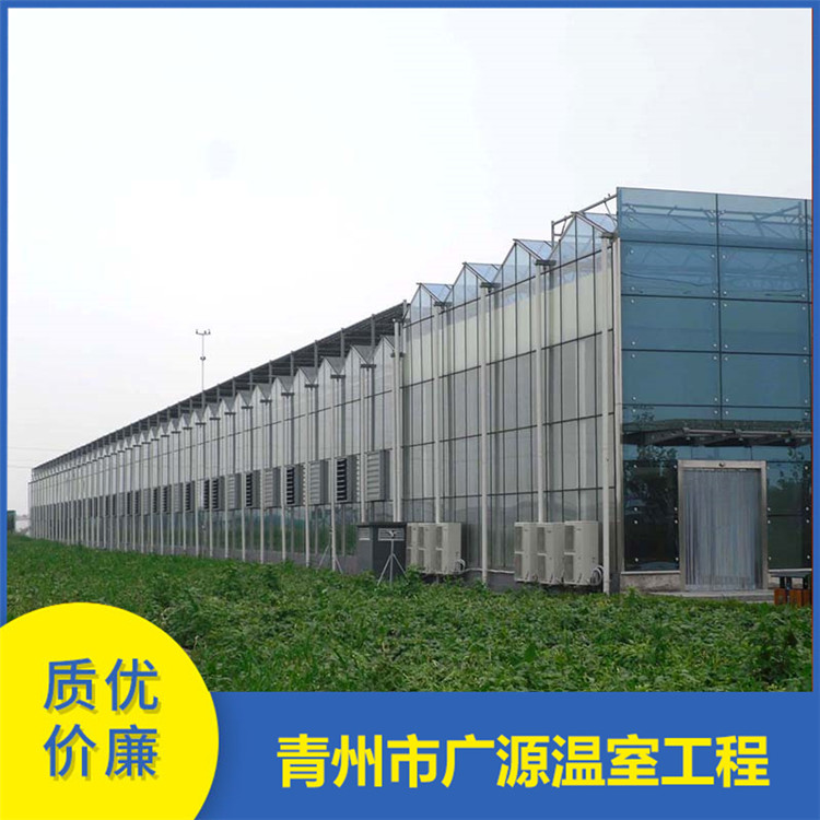 加工玻璃温室大棚 玻璃连栋大棚搭建 厂家直销