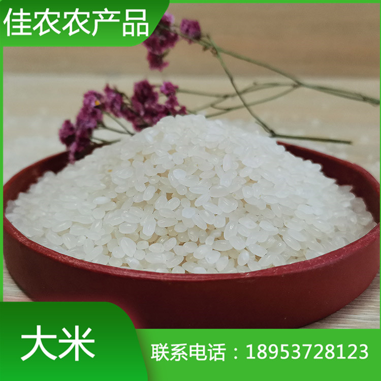 山东米厂加工批发鱼台大米 圆粒大米 米厂直销 量大优惠