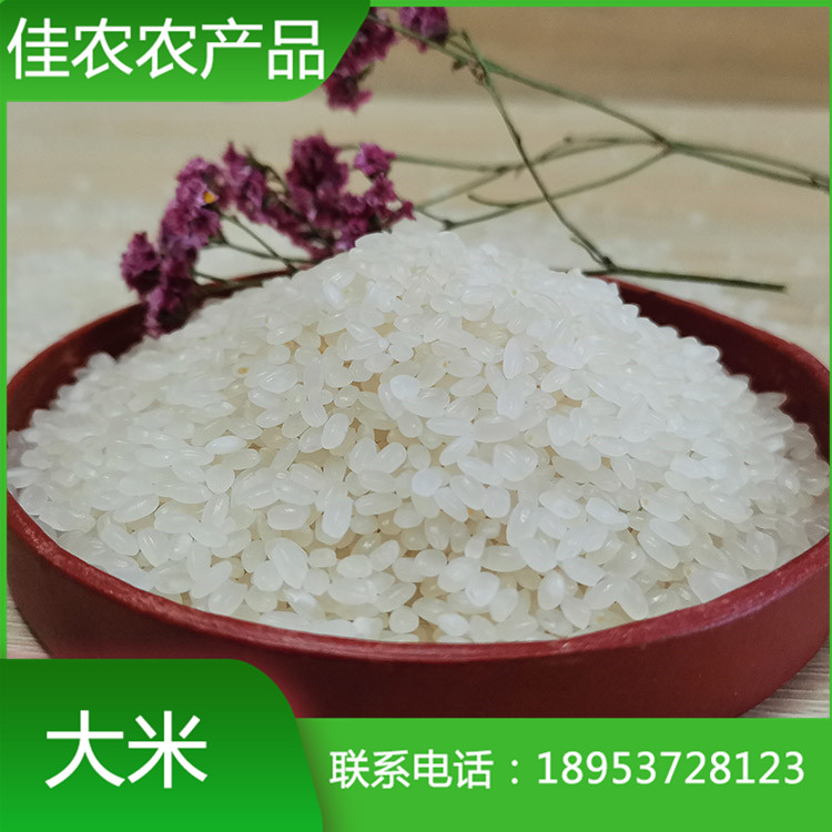 优质鱼台大米 袋装大米 米厂直销 量大优惠