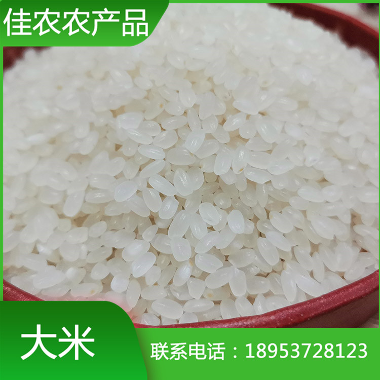 山东米厂加工批发鱼台大米 圆粒大米 米厂直销 量大优惠