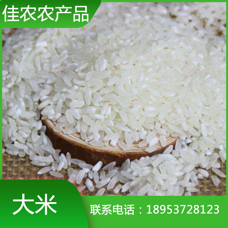 优质鱼台大米 袋装大米 米厂直销 量大优惠