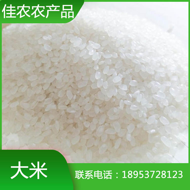 优质鱼台大米 袋装大米 米厂直销 量大优惠