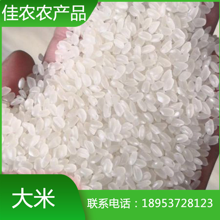 优质鱼台大米 袋装大米 米厂直销 量大优惠