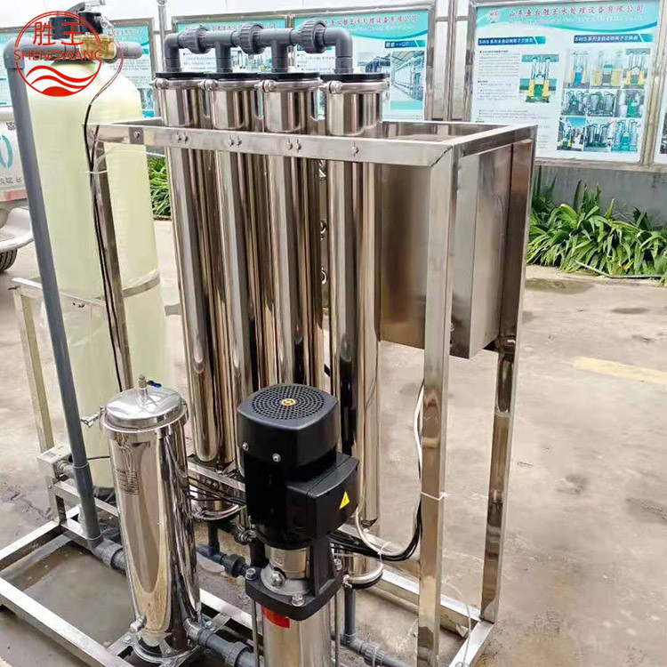 现货供应高效全自动RO反渗透设备 反渗透净水设备 山东胜王