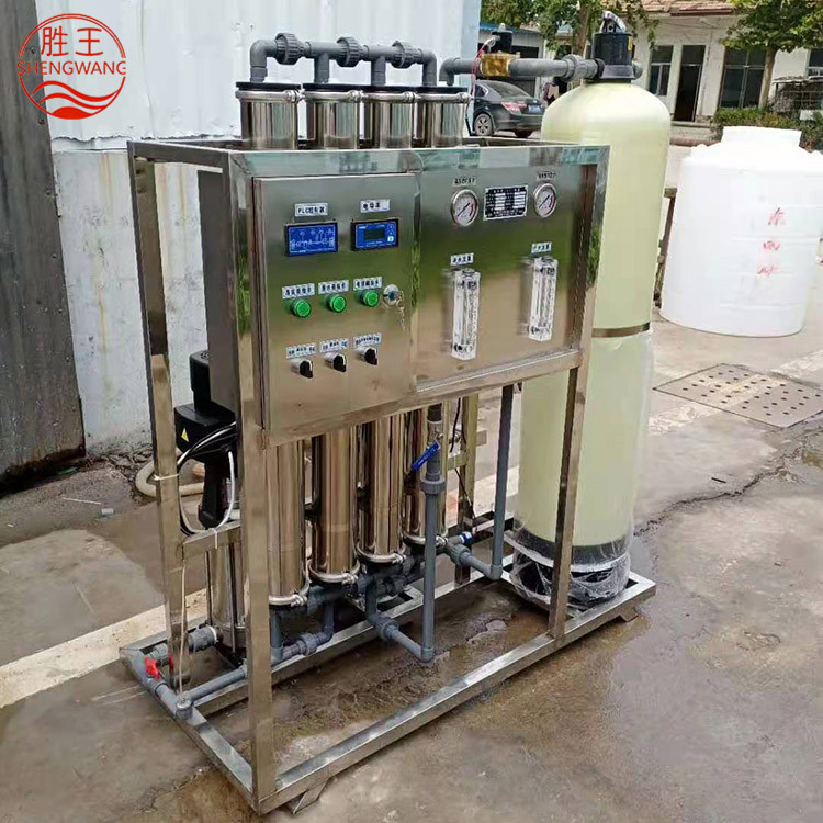 现货供应高效全自动RO反渗透设备 反渗透净水设备 山东胜王