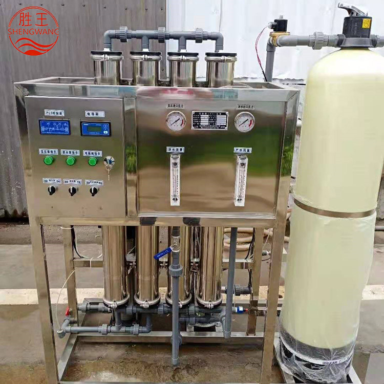 现货供应高效全自动RO反渗透设备 反渗透净水设备 山东胜王