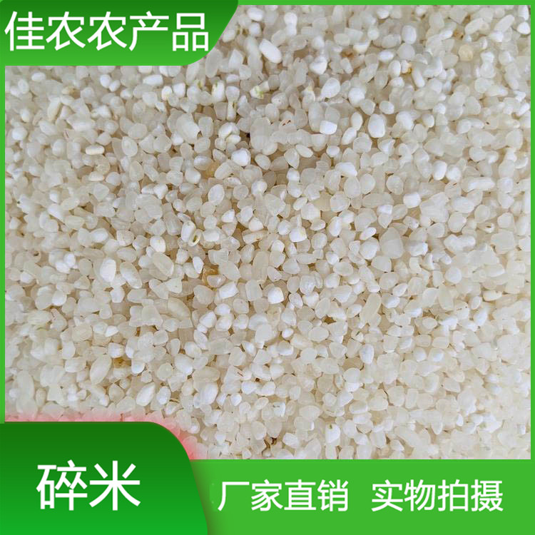 衡水碎米加工厂家 食用酿酒饲料用米 熬粥碎米