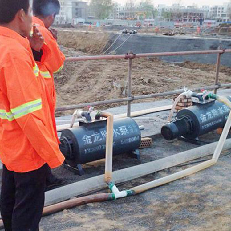 加工定制建筑基坑降水设备 井点降水设备 星龙水泵