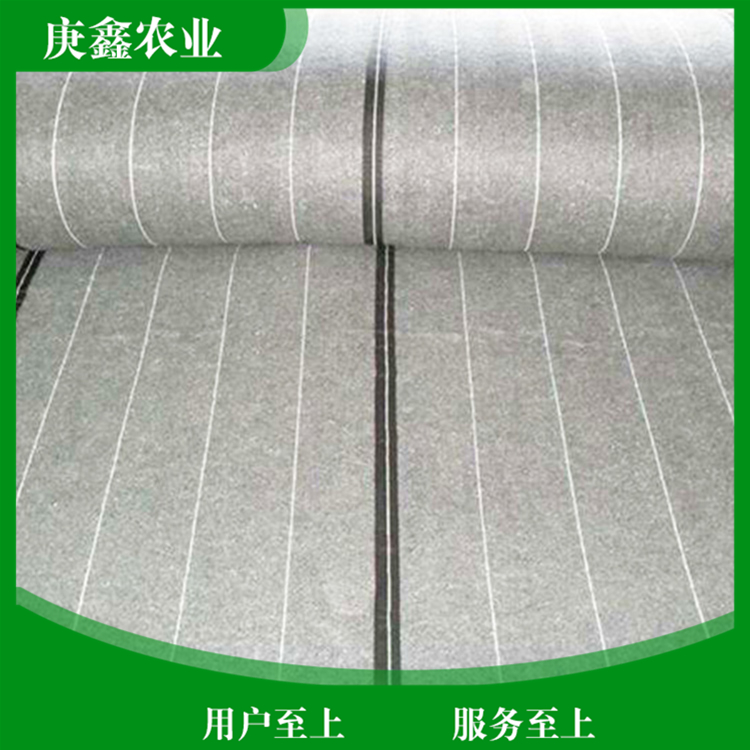 大棚保温被生产厂家 蔬菜大棚保温被 支持批发