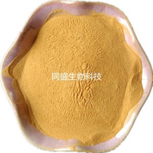 发酵饲料蛋白粉 酵母蛋白源 生产饲料添加剂 玉米浆干粉