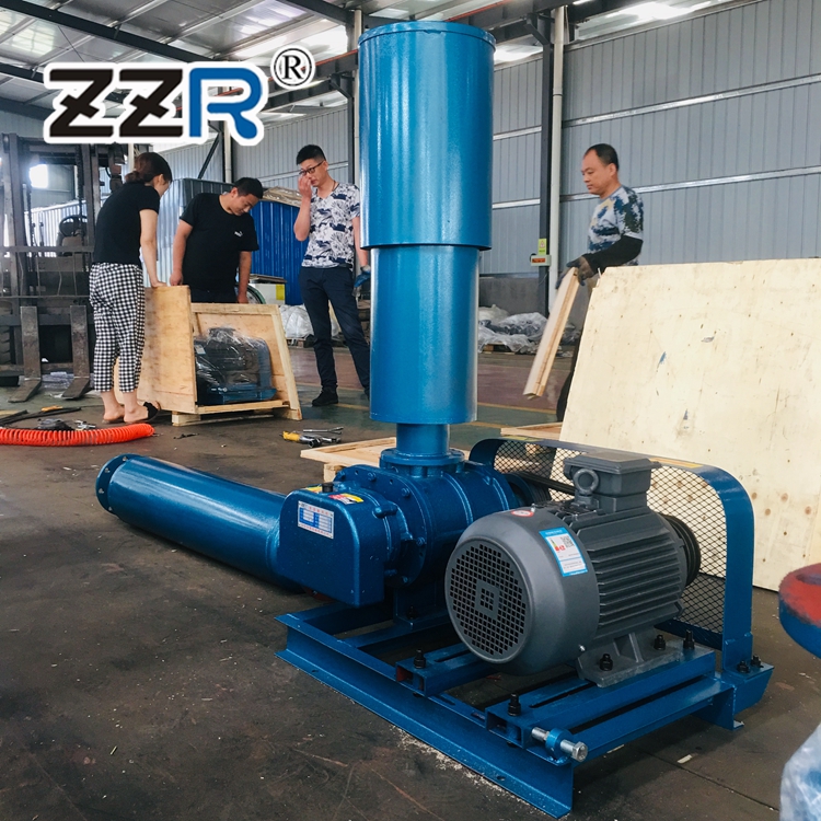 ZZR100型三叶罗茨鼓风机 罗茨真空泵 型号齐全 可定制