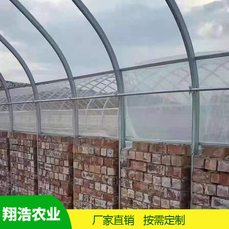 河北育苗单体拱棚 热镀锌椭圆管拱棚 简易单体拱棚温室大棚定制