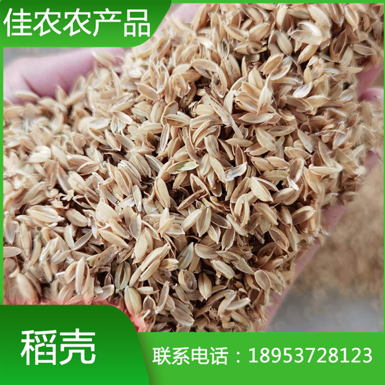 湖南酿酒酿醋用稻壳 饲料用新鲜无掺杂稻壳