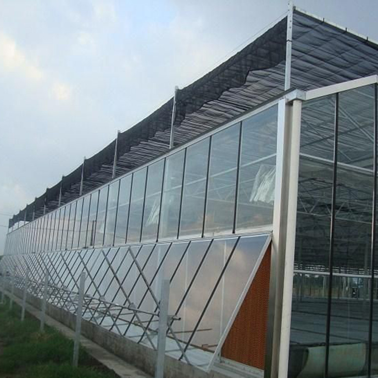 生态温室 玻璃智能温室大棚 专业温室制作厂家