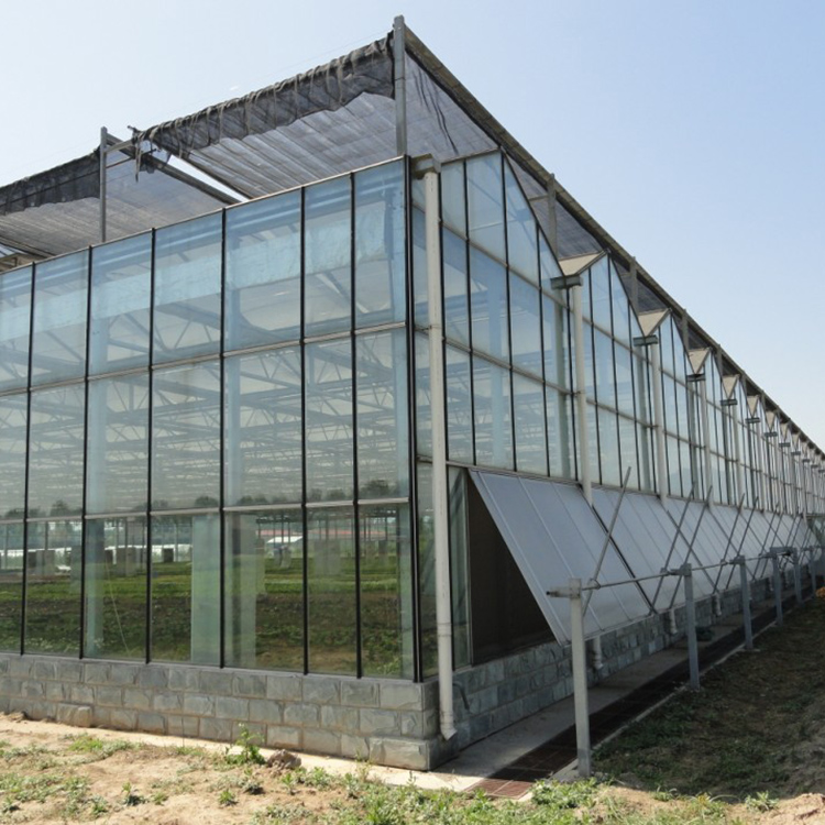 专业制作玻璃智能温室大棚 生态温室 阳光休闲餐厅温室