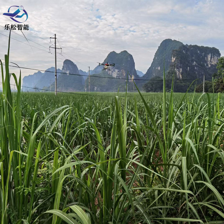设计定制LSEY-26农用无人机 施肥 喷洒农药用无人机 可折叠