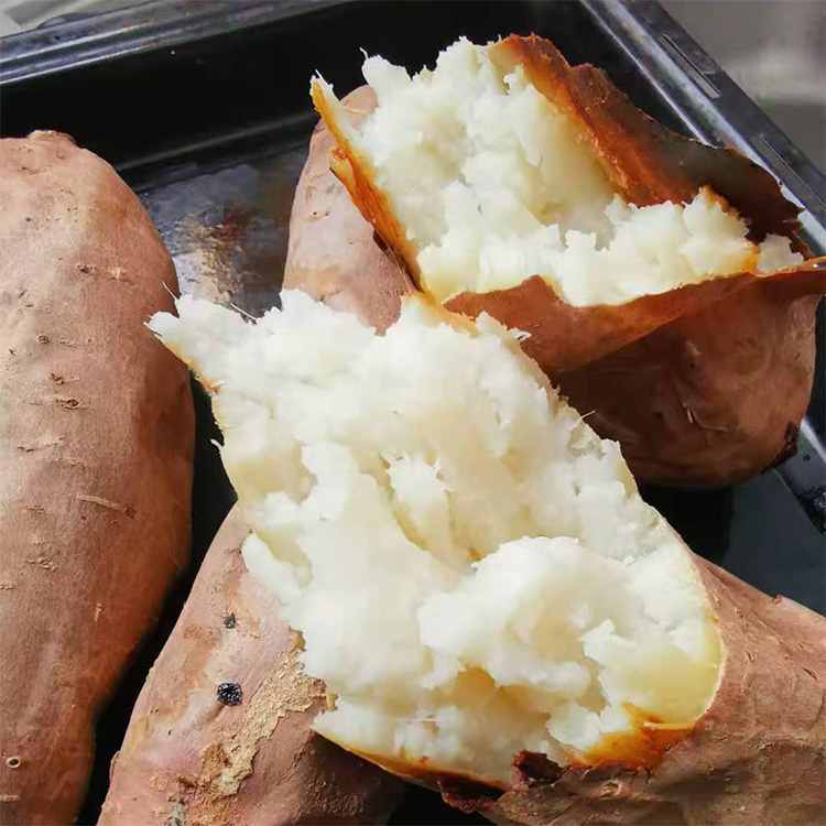 蜜薯产地 烤薯店专用地瓜 红心红皮山芋