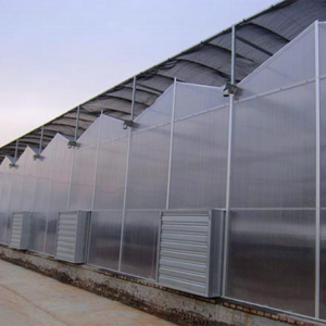 阳光板温室大棚 工程造价  温室大棚建造厂家