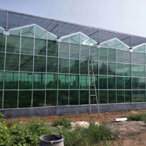 玻璃温室 冬暖式玻璃温室大棚 建造玻璃温室大棚