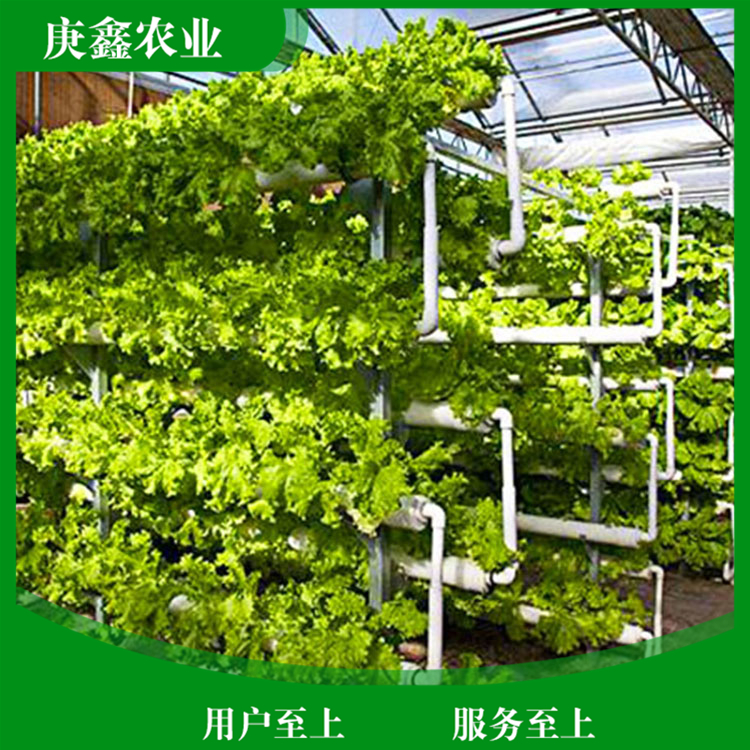 绿色温室景观销售厂家 温室绿色大棚景观植物 支持选购