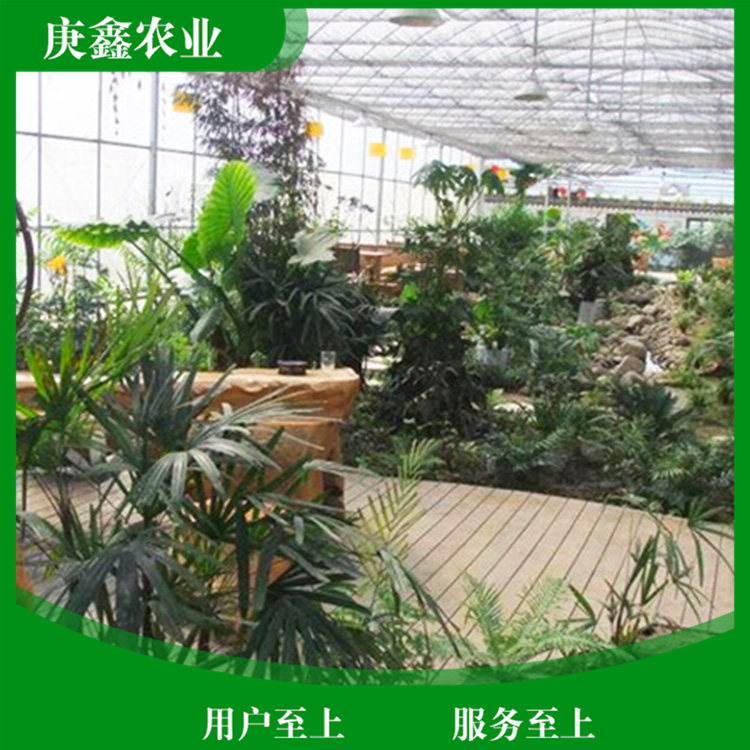 厂家安装绿色温室景观 温室景观植物 支持选购